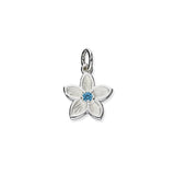 Happy Valley Silver Charm C310 Cubic Zirconia
