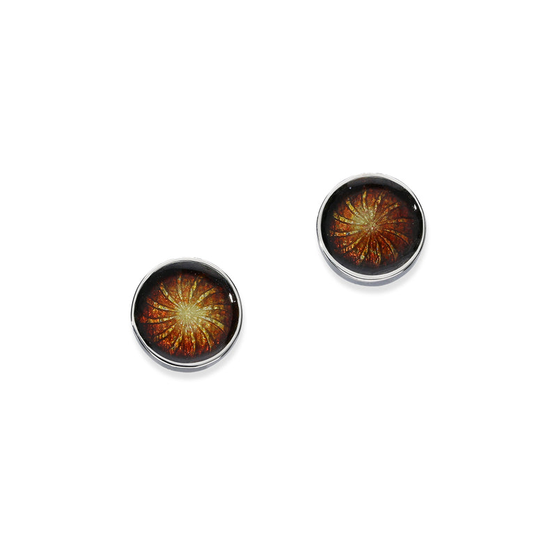Firefly Silver Earrings EE407