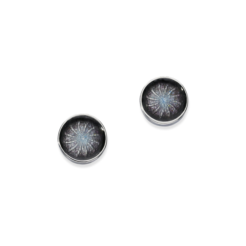 Firefly Silver Earrings EE407