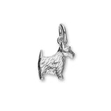 Wildlife Silver Charm C163