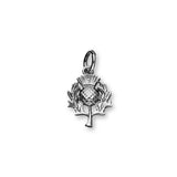 QNIS Silver Charm C360