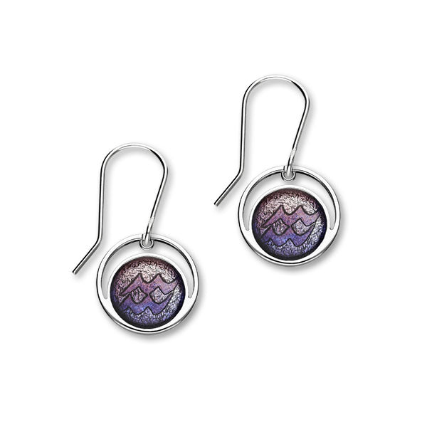 Zodiac Silver Earrings EE567 Aquarius