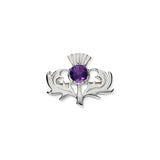 Thistle Silver Brooch CB33 Amethyst