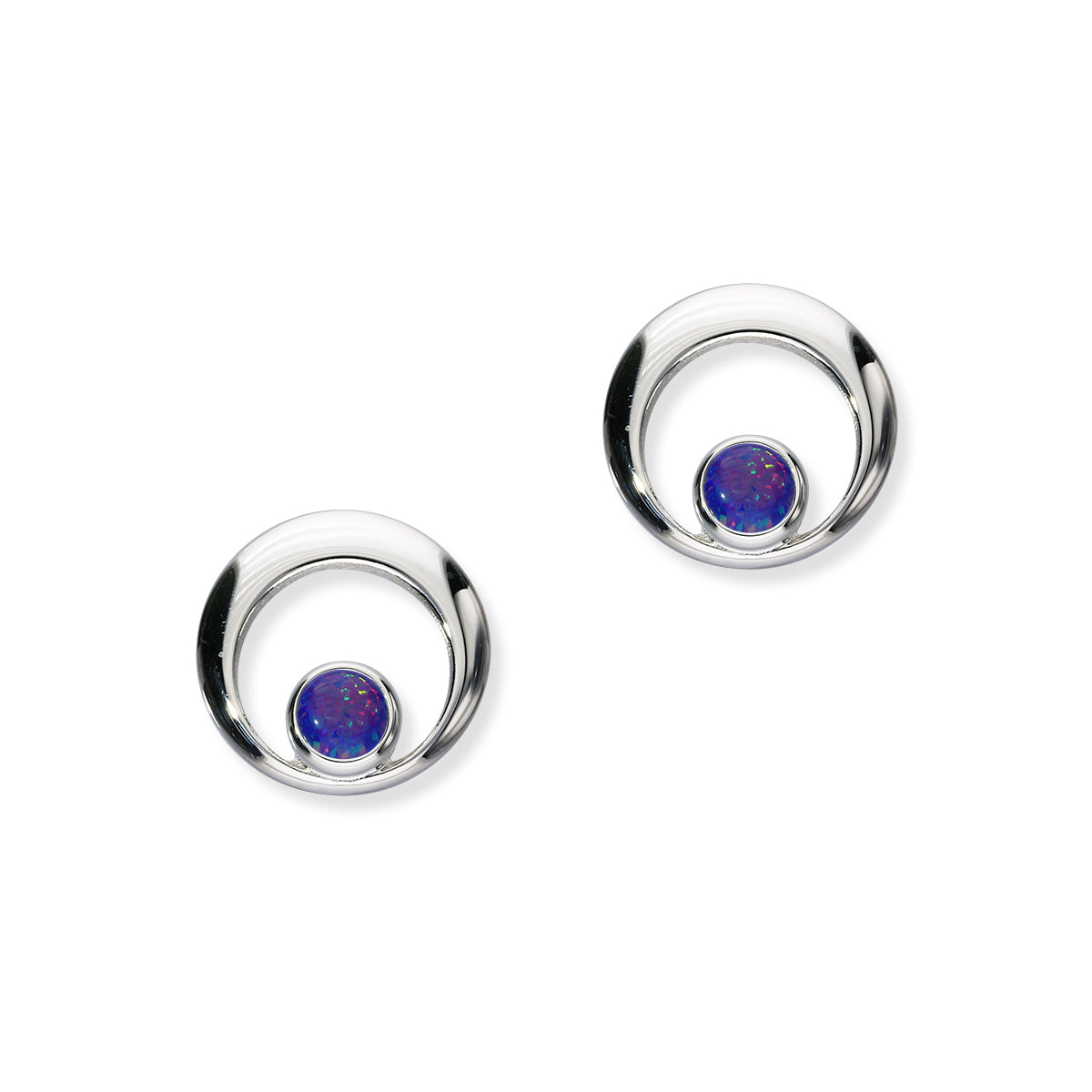 Harlequin Silver Earrings SE360