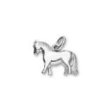 Wildlife Silver Charm C89