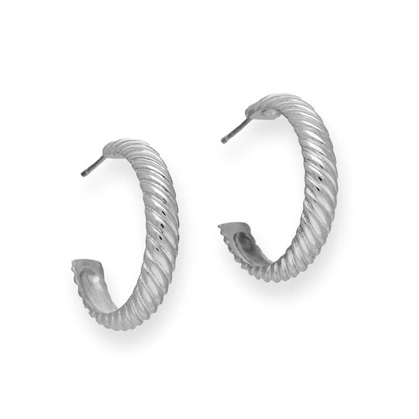 Simply Stylish Silver Earrings E225