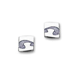 Arizona Silver Earrings EE398