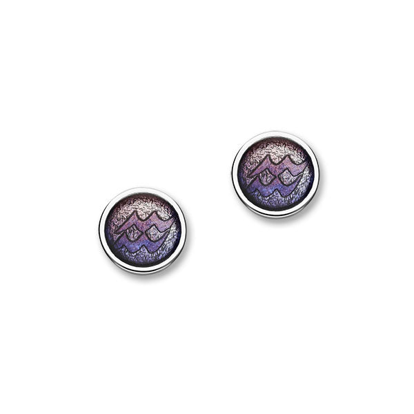 Zodiac Silver Earrings EE579 Aquarius